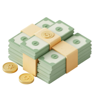 Money dollar sign icon
